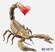 знак зодиака мужчина скорпион в любви